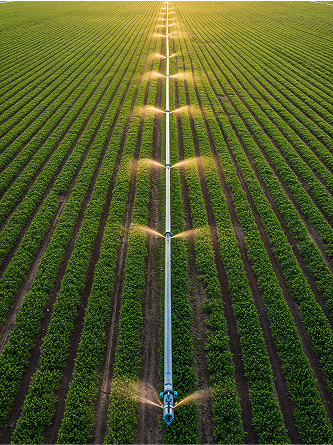Agriculture  & Irrigation